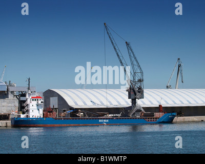 Portarinfuse nave nel porto di Anversa Fiandre Belgio Foto Stock