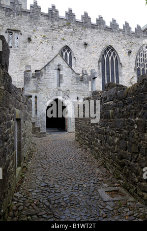 Lastricato in pietra strada conduce alla Cattedrale di Santa Maria. Limerick, Irlanda. Foto Stock