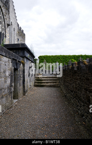 La Cattedrale di Santa Maria. Limerick, Irlanda. Foto Stock