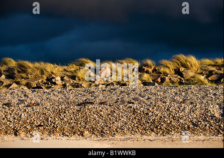 Findhorn spiaggia su un vento tempestoso spazzata di sera. Moray, Scozia Foto Stock