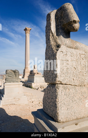 Alessandria, Egitto. Sphinx statua a Pompey s pilastro une il Serapeo Foto Stock