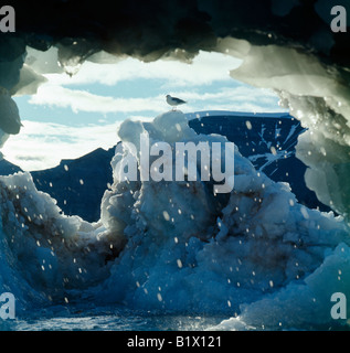 Iceberg sotto il sole di mezzanotte Spitzberg Baie du Roi Arctic Astronomia atmosfera atmosfere Ambiance Ambiance indietro per la retroilluminazione Foto Stock