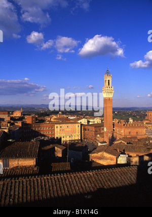 Torre del Mangia e la Piazza del Campo al tramonto vista dal panorama al Museo dell'Opera del Duomo di Siena Toscana Italia Foto Stock