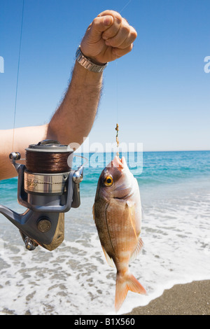 Il pesce appena pescato Foto Stock