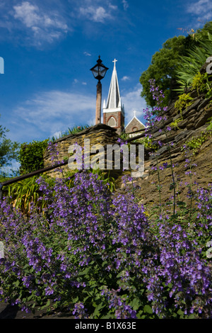 Fiori viola crescere in primavera davanti la chiesa di San Pietro, harpers Ferry National Historical Park, harpers Ferry, West VA Foto Stock