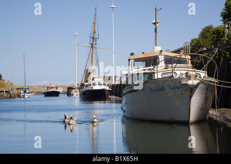 Amlwch Anglesey North Wales UK. Barche ormeggiate dal Wharf a Porto Vecchio in estate Foto Stock