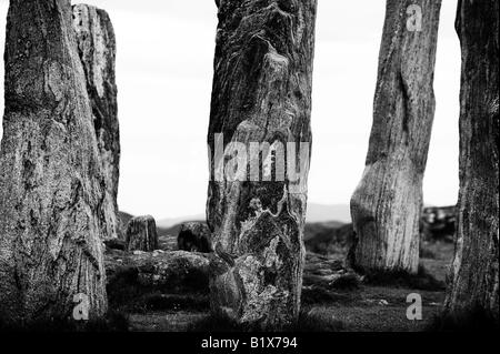 Callanish Standing Stones, isola di Lewis, Ebridi Esterne, Scozia Foto Stock