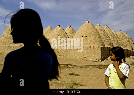 Beehive case in città biblica di Harran nel sud-est della Turchia Foto Stock