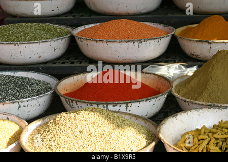 Spezie sul display in un mercato ortofrutticolo in Udaipur, India Foto Stock