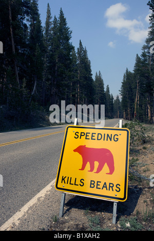 Un giallo e nero cartello stradale con un orso rosso nella foto lungo la Tioga Road che avvisa i conducenti che 'Speeding uccide Orsi' Foto Stock