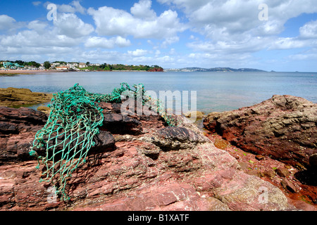 La costa rocciosa a Goodrington sud vicino a Paignton in Devon guardando a Nord su un giorno di estate con una vecchia rete da pesca lavato fino Foto Stock