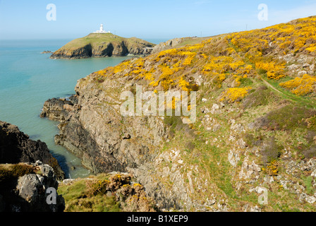 Strumble Head Lighthouse in Pembrokeshire Foto Stock