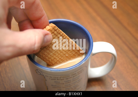 Dunking un biscotto in una bevanda calda. Foto Stock