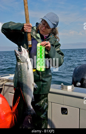 Donna che mantiene un grande coho pesce sulla randa e il verde bagliore UV trolling flasher che ha attratto è Foto Stock