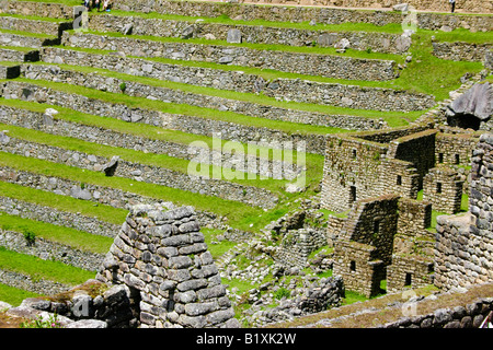 Terrazzamenti agricoli a Machu Picchu antica città Inca presso la Cordigliera delle Ande del Perù Foto Stock