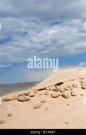 Il vento soffia sabbia fuori una duna di sabbia sulla spiaggia di Findhorn, murene, Scozia Foto Stock