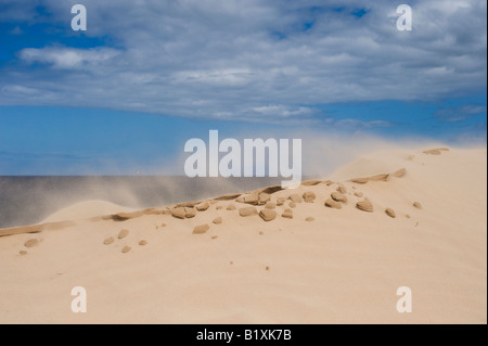 Il vento soffia sabbia fuori una duna di sabbia sulla spiaggia di Findhorn, murene, Scozia Foto Stock