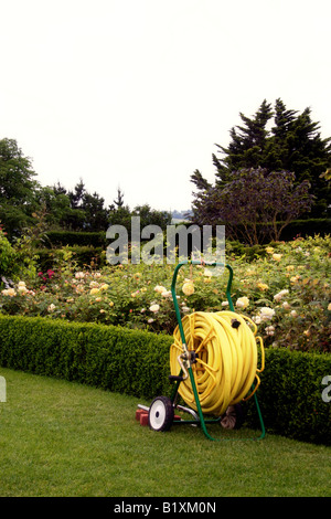 Avvolgitubo accanto a una siepe e il giardino delle rose. RHS HYDE HALL ESSEX REGNO UNITO Foto Stock