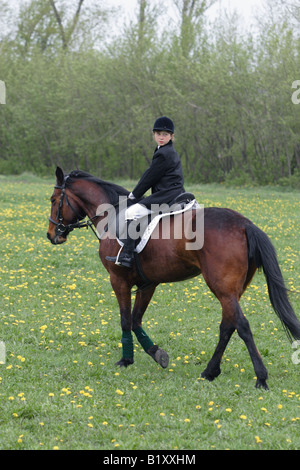 Giovane pilota concorrenti nel caso equino in Ryazan, VNIIK ( Russia) a cavallo Foto Stock