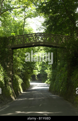 La shute conduce fuori del villaggio Shorwell sull'Isola di Wight. Foto Stock