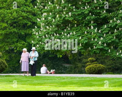 2 anziane signore passeggiando per il giardino di grandi dimensioni Foto Stock