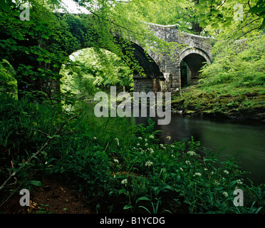 Holne Bridge sul fiume Dart nel Parco Nazionale di Dartmoor in primavera. Holne, Devon, Inghilterra Foto Stock