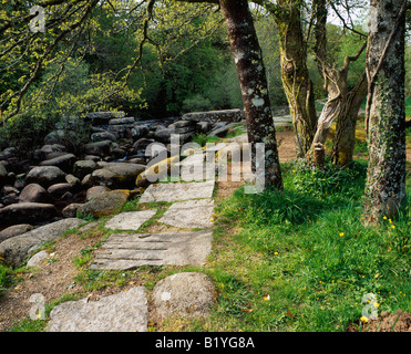 L'East Dart River e il vecchio ponte di clapper a Dartmeet a Dartmoor, Inghilterra. Foto Stock