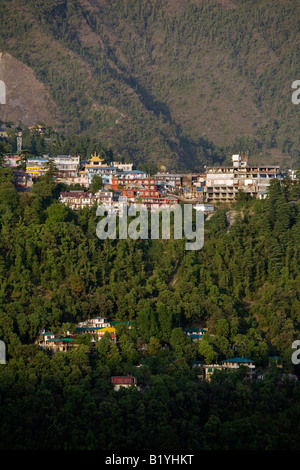 MCLEOD GANJ nei foothills dell'Himalaya è ora la casa del XIV Dalai Lama in esilio DHARAMSALA INDIA Foto Stock