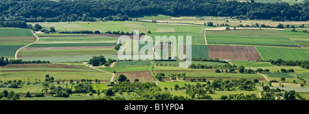Verdi campi di orzo in primavera, Franconia, Germania Foto Stock