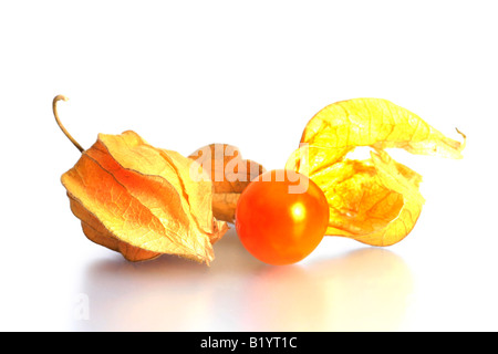 Uva spina terra peruviana cherry Physalis peruviana di frutta con e senza lolla Foto Stock