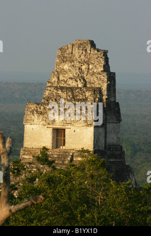 Tempio 1 come si vede dal Mundo Perdido, Parco Nazionale di Tikal, Guatemala Foto Stock