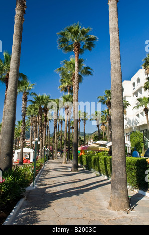 Alberi di palma cresce accanto al lungomare di Icmeler Marmaris Mugla Turchia Foto Stock