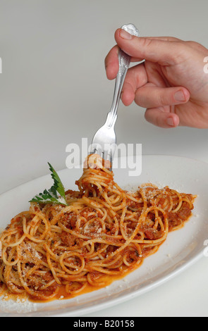 Spaghetti alla bolognese con la forcella su una piastra bianca Foto Stock