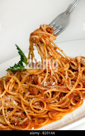 Spaghetti alla bolognese su una piastra bianca con forca Foto Stock