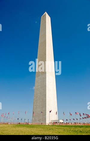 WASHINGTON, DC, Stati Uniti: Il monumento a Washington si erge alto sul National Mall, circondato da un cerchio di bandiere americane. Questo iconico obelisco, dedicato al primo presidente degli Stati Uniti George Washington, è incorniciato da stelle e strisce, creando una potente immagine del patriottismo e della storia americani. Le bandiere, solitamente esposte per festeggiamenti nazionali o festività, aggiungono un elemento vibrante al marmo bianco scuro del monumento. Foto Stock