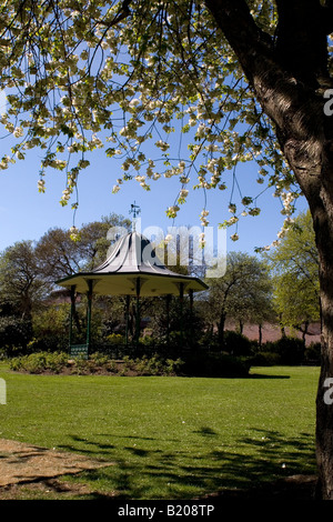 Un palco per spettacoli in Mowbray Park a Sunderland. Una struttura pesante con la fioritura dei ciliegi si erge davanti al palco per spettacoli. Foto Stock