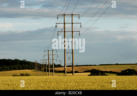 Le linee di alimentazione attraversa terreni agricoli, Warwickshire, Inghilterra, Regno Unito Foto Stock