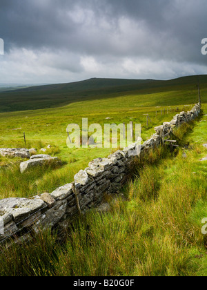 Vista inferiore e superiore di colore bianco che mostra Tor boundary muro di pietra Dartmoor Devon Regno Unito Foto Stock