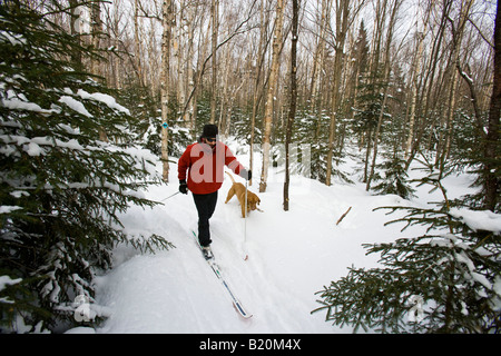 Un uomo lo sci di fondo con il suo cane sul Catamount Trail in Stowe, Vermont. Foto Stock