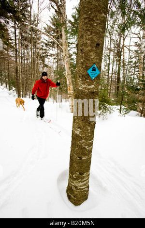 Un uomo lo sci di fondo con il suo cane sul Catamount Trail in Stowe, Vermont. Foto Stock