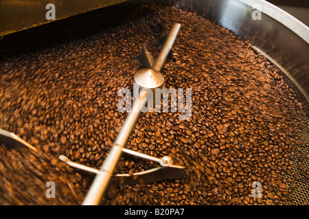 ILLINOIS Riverwoods asta metallica ruotare e mescolare il caffè torrefatto in grani per raffreddare dopo la tostatura i fagioli dal commercio equo accordo Foto Stock