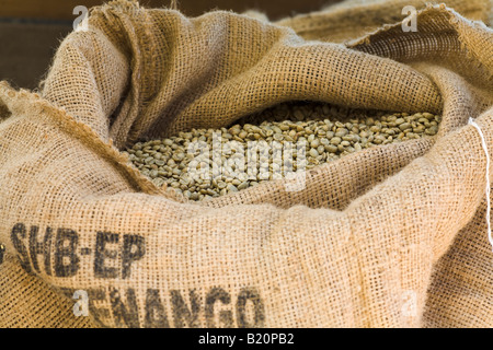 ILLINOIS Riverwoods borsa di tela tirata indietro per mostrare il verde chicchi di caffè decaffeinato prima della tostatura Foto Stock