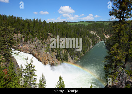 Upper Falls del Yellowstone River Grand Canyon di Yellowstone Foto Stock