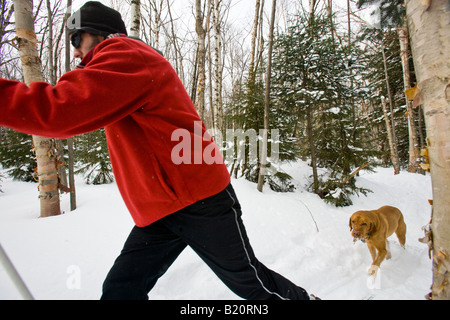 Un uomo lo sci di fondo con il suo cane sul Catamount Trail in Stowe, Vermont. Foto Stock