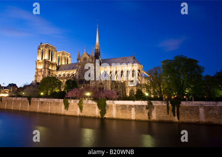 La cattedrale di Notre Dame illuminata illuminato luminarie e Senna in serata luce notturna Parigi Francia Europa UE Foto Stock