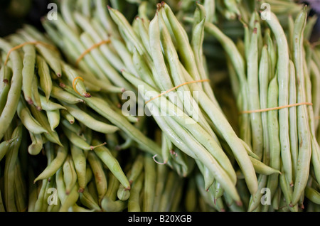 Fagioli verdi in vendita nel vecchio quartiere di Soho mercato alimentare a Graham Street Central Hong Kong Cina Foto Stock