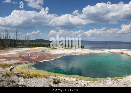 Abisso piscina, West Thumb Geyser Basin, il Parco Nazionale di Yellowstone Foto Stock