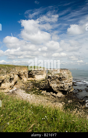 Regno Unito Tyne and Wear Sunderland Marsden Bay Souter cliff edge di nidificazione degli uccelli marini sito sul mare roccioso pila Foto Stock