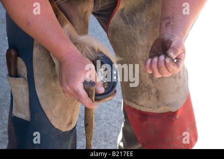 Un maniscalco in possesso di una gamba di cavalli mentre il martellamento chiodi nei cavalli zoccolo per fissare i cavalli scarpe. Foto Stock