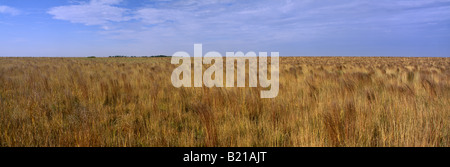 CONSERVATION RESERVE PROGRAMMA MASSA CRP Foto Stock